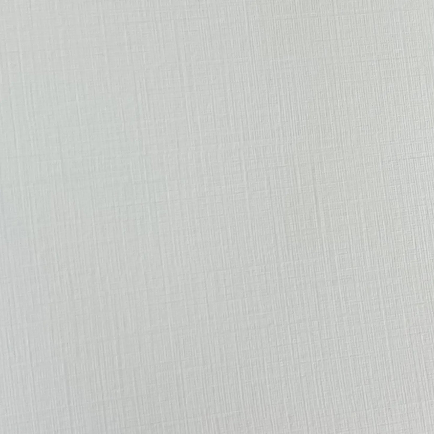 Horse Greeting Card