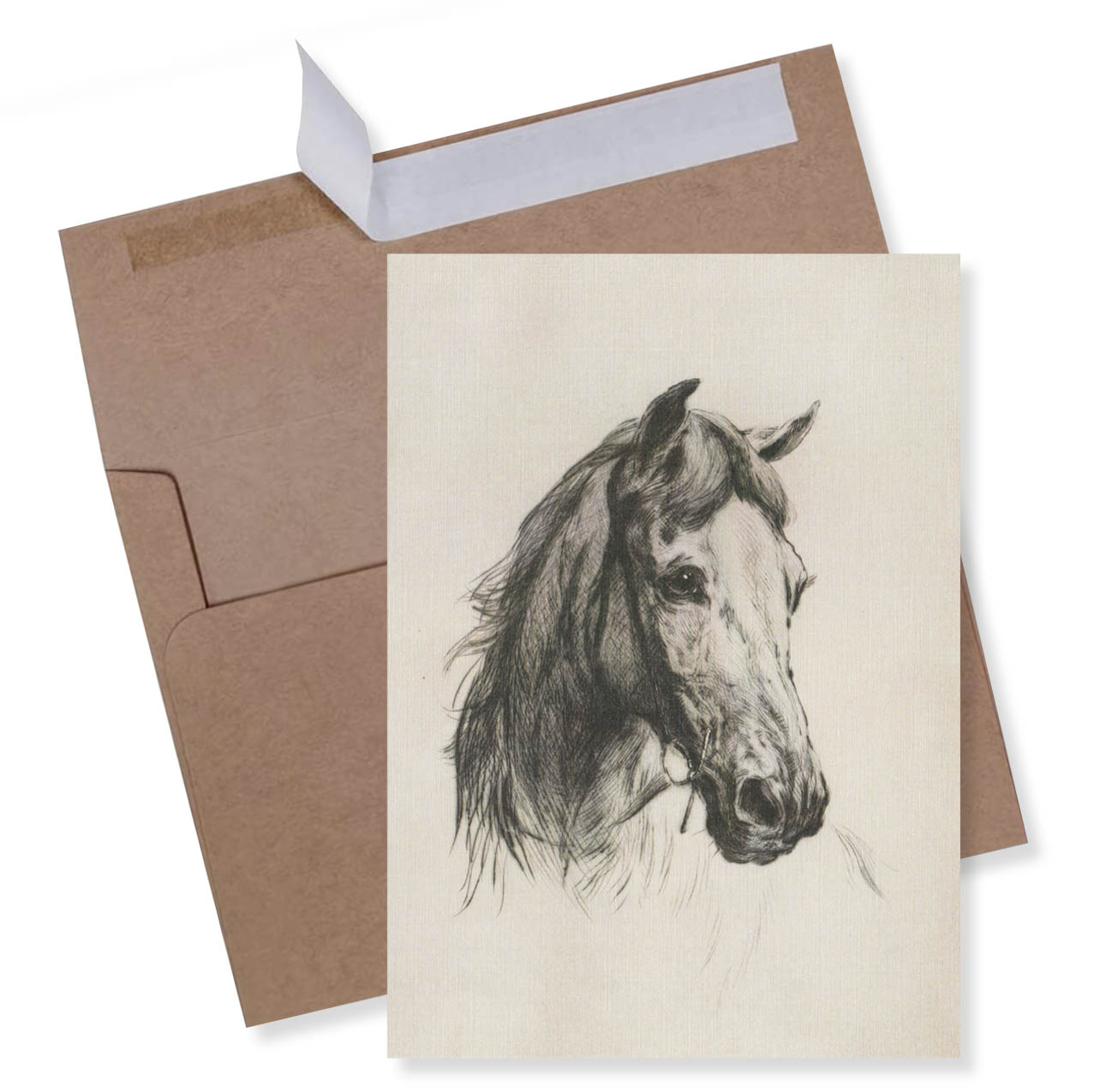 Horse Greeting Card