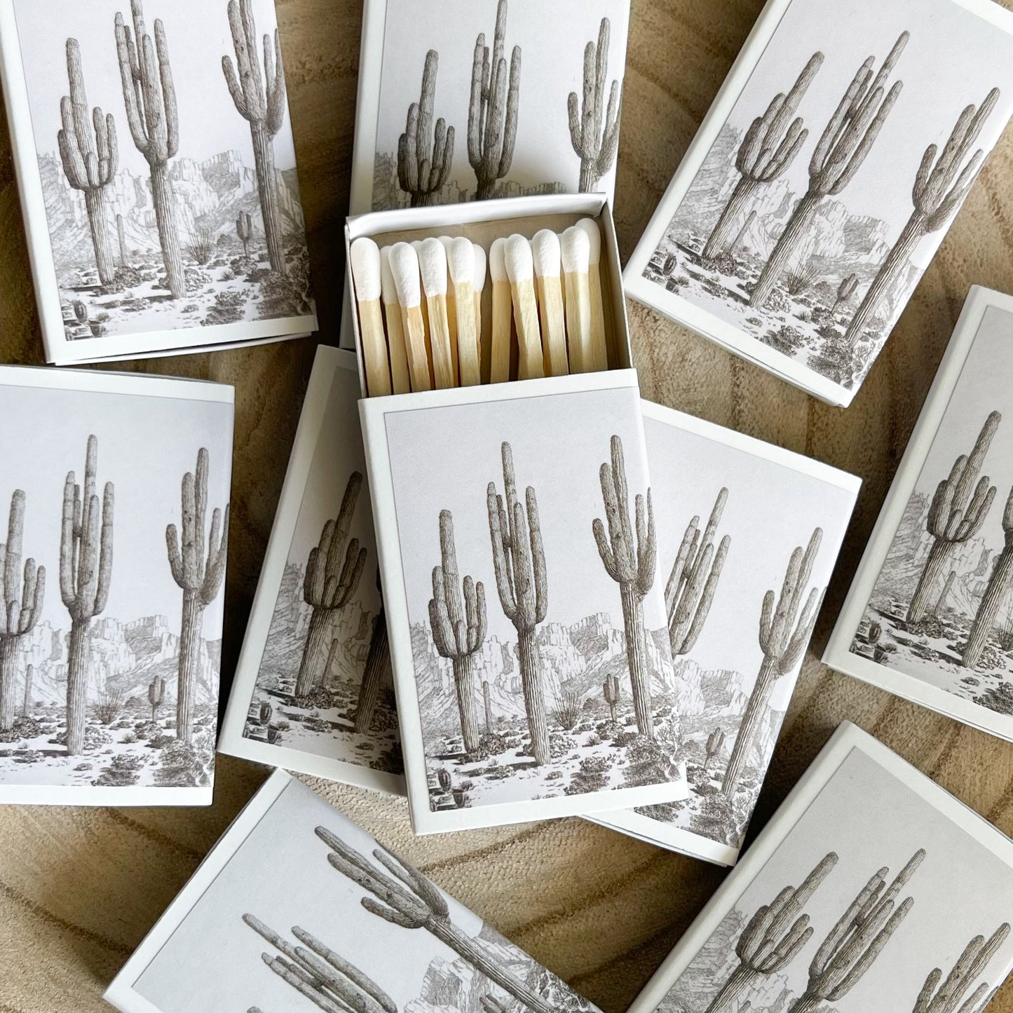Desert Cactus Portrait Match Set | Vintage Landscape